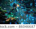 Blue shining pond 86046687