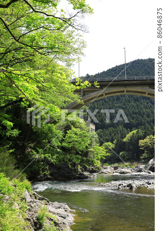 Fresh green Mitake Gorge vertical position Fresh green Mitake Gorge vertical position 86046875