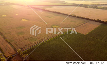 Aerial drone view flight over fields with different growing Aerial drone view flight over fields with different growing 86047164