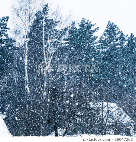 Heavy snowfall in the village against the backdrop of the winter forest 86047268