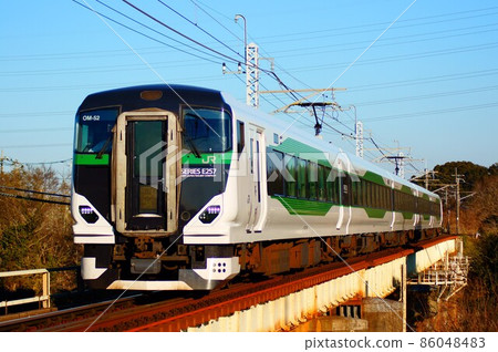 E257 series 5500 series used for the early spring Narita Hatsumode E257 series 5500 series used for the early spring Narita Hatsumode 86048483