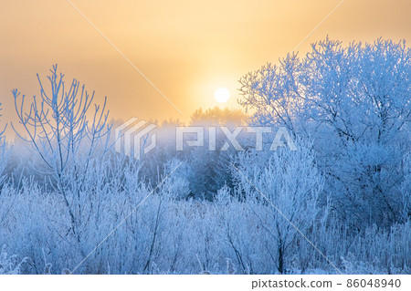 白霜之地和朝陽 白霜之地和朝陽 86048940