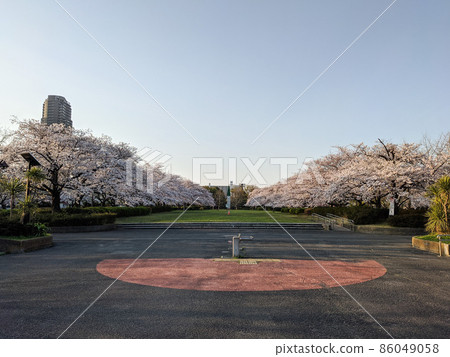 東京 Sarue-onshi 公園櫻花(2021 年 3 月) 東京 Sarue-onshi 公園櫻花(2021 年 3 月) 86049058