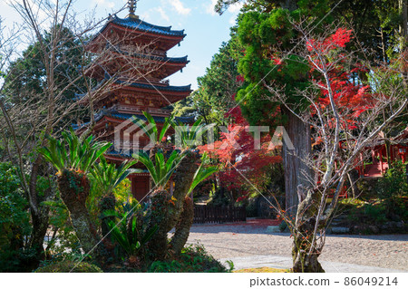 Five-storied pagoda and autumn leaves at Kaijusenji Temple in Kyoto Five-storied pagoda and autumn leaves at Kaijusenji Temple in Kyoto 86049214