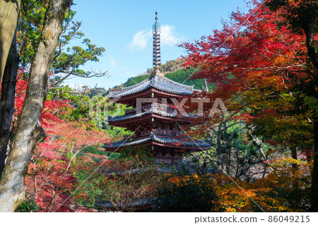 Five-storied pagoda and autumn leaves at Kaijusenji Temple in Kyoto Five-storied pagoda and autumn leaves at Kaijusenji Temple in Kyoto 86049215