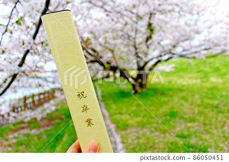 <Spring image> Up of a diploma tubular case with a row of cherry blossom trees in the background 86050451