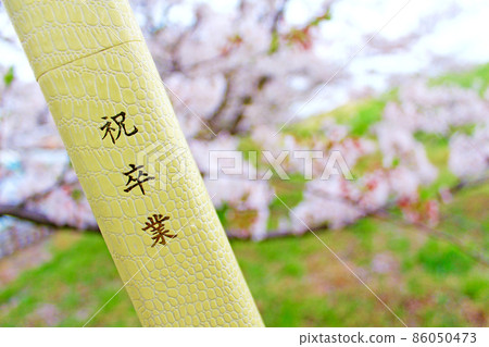<Spring image> Up of a diploma tubular case with a row of cherry blossom trees in the background <Spring image> Up of a diploma tubular case with a row of cherry blossom trees in the background 86050473