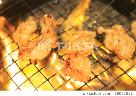 Tetchan (hormone) grilled with a net Tetchan (hormone) grilled with a net 86051851