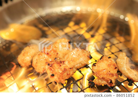 Tetchan (hormone) grilled with a net 86051852