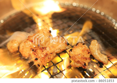 Tetchan（激素）用網烤 86051853