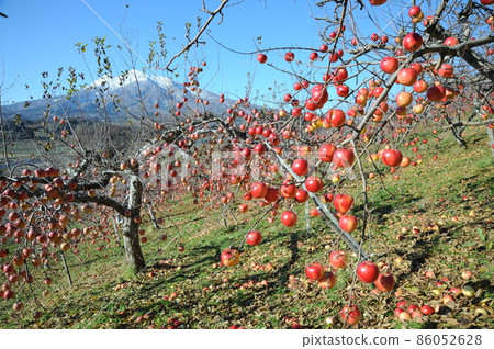 Apple農場和Iwakiyama Apple農場和Iwakiyama 86052628