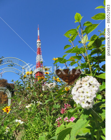 通過Shiba公園花床看的東京鐵塔 通過Shiba公園花床看的東京鐵塔 86052903