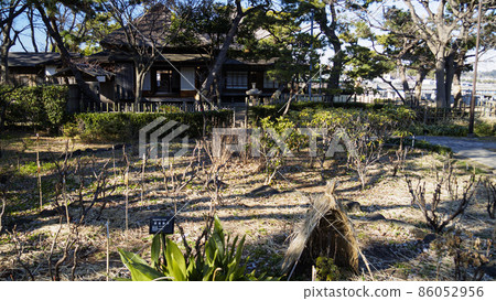 神奈川縣橫濱市金澤區野島公園伊藤博文別邸的冬天 神奈川縣橫濱市金澤區野島公園伊藤博文別邸的冬天 86052956