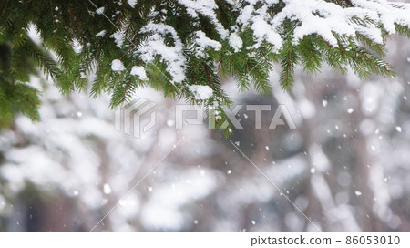 beautiful winter landscape with snow 86053010