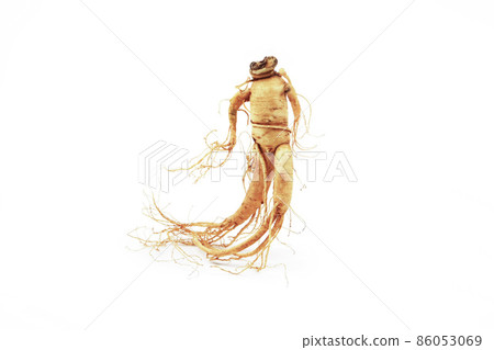 Ginseng with the shape of a healthy person 86053069
