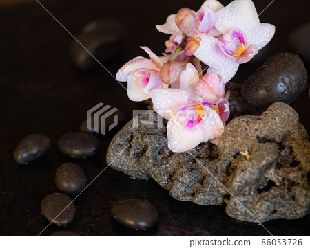 SPA center Quiet Zen Content 86053726