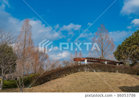 冬季公園 86053786