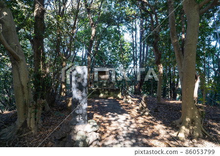 衣笠城跡五棱神社（小牛山徒步路線） 86053799