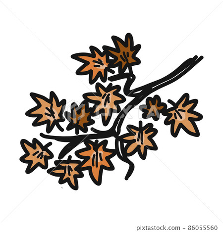 Illustration of the branches and leaves of the maple leaves that turn red. Illustration of the branches and leaves of the maple leaves that turn red. 86055560