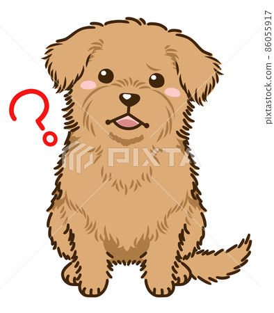 諾福克梗想知道 86055917