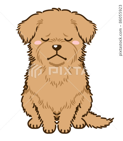 沮喪的諾福克梗 86055923