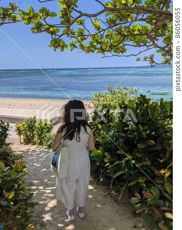From the row of Fukugi trees in Bise to the beach 86056055