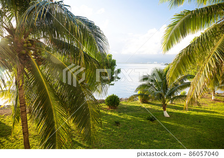 Caribbean nature with palm trees and tropical lake Nichupte lagoon, Cancun 86057040