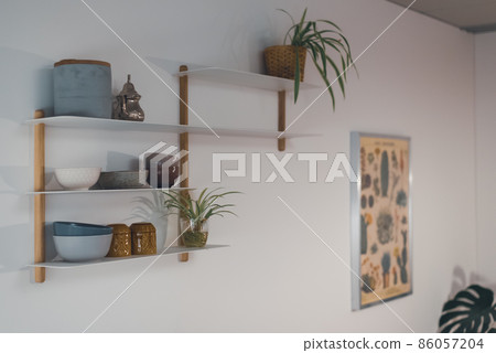 Houseplants in a modern clean furnished apartment Houseplants in a modern clean furnished apartment 86057204