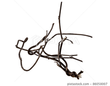 Dead branch material of vines 86058007