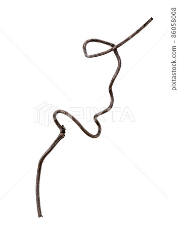 Dead branch material of vines 86058008