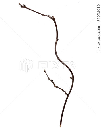 藤蔓枯枝材料 86058010