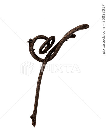 藤蔓枯枝材料 86058017