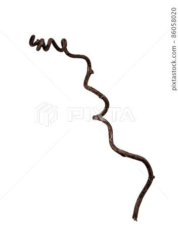 Dead branch material of vines 86058020