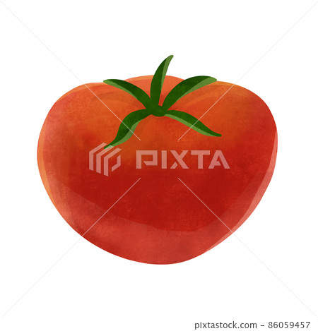 Tomato hand-drawn illustration 86059457