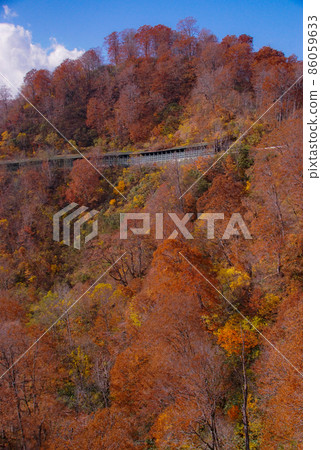 秋田縣仙北市秋季多摩川溫泉大橋的風景 86059633