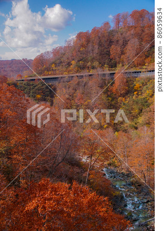 秋田縣仙北市秋季多摩川溫泉大橋的風景 86059634