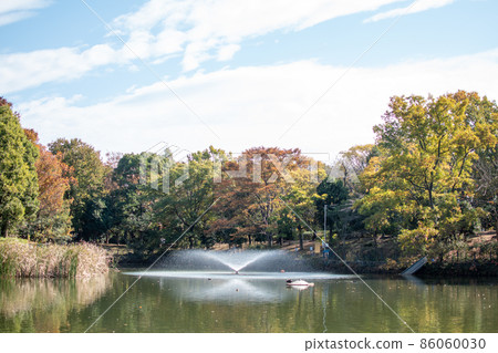 創價公園秋景 / 埼玉縣 創價公園秋景 / 埼玉縣 86060030