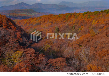 A view from the Ohashi Bridge in the Autumn Forest, Hachimantai City, Iwate Prefecture, Iwate Prefectural Forest 86060480
