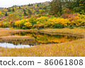 Autumn leaves of Mt. Kurikoma 86061808