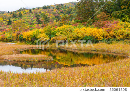 Autumn leaves of Mt. Kurikoma 86061808