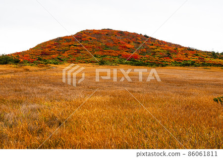 Mt. Kurikoma秋葉 Mt. Kurikoma秋葉 86061811