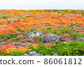 Autumn leaves of Mt. Kurikoma 86061812