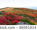 Autumn leaves of Mt. Kurikoma 86061814