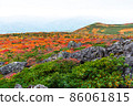 Autumn leaves of Mt. Kurikoma 86061815