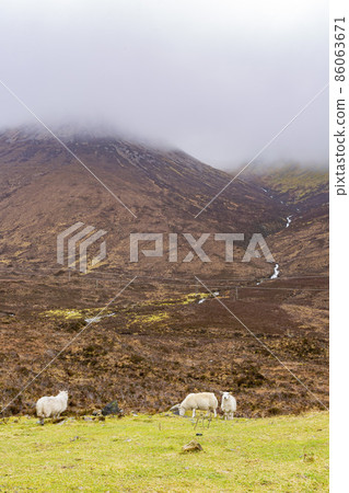 Beautiful country side with sheep walking around Beautiful country side with sheep walking around 86063671