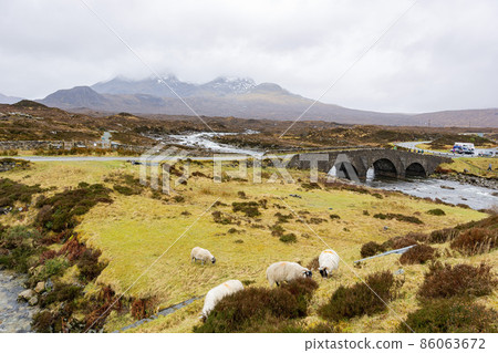 Beautiful country side with sheep walking around 86063672