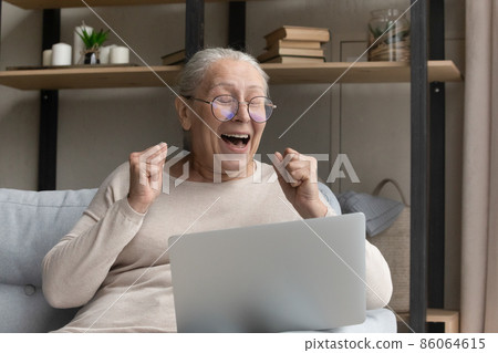 Overjoyed laughing mature woman celebrating good luck. 86064615