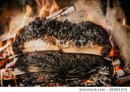 Open book is on fire, pages are engulfed in flames. Concept of censorship, prohibition of freedom 86065150