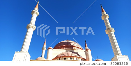 the old history the old history 86065216