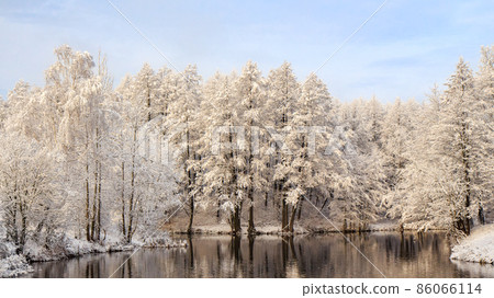Park with snow-covered trees in winter. The river Svisloch Park with snow-covered trees in winter. The river Svisloch 86066114